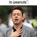 phew | No Nut November : *starts*; People allergic to peanuts : | image tagged in relieved rdj,no nut november,peanut,nuts,nnn | made w/ Imgflip meme maker