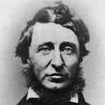 Thorough Thoreau