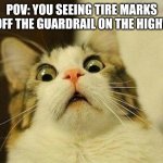 Off the guardrail moment | POV: YOU SEEING TIRE MARKS GO OFF THE GUARDRAIL ON THE HIGHWAY | image tagged in frightened cat | made w/ Imgflip meme maker