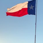 Texas flag USA waving patriotism GIF Template