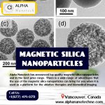 Magnetic Silica Nanoparticles