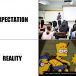 School system | image tagged in expectation vs reality | made w/ Imgflip meme maker