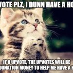 help_the_catt_plz | UPVOTE PLZ, I DUNN HAVE A HOME; IF U UPVOTE, THE UPVOTES WILL BE THE DONATION MONEY TO HELP ME HAVE A HOME | image tagged in plz cat | made w/ Imgflip meme maker