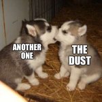 Another one bites the dust | ANOTHER ONE THE DUST | image tagged in memes,cute puppies,another one bites the dust | made w/ Imgflip meme maker