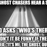 Ghost | WHEN GHOST CHASERS HEAR A SOUND; AND ASKS "WHO'S THERE"; WOULDN'T IT BE FUNNY IF THE GHOST; ANSWERED, "IT'S ME, THE GHOST, DUMBASS | image tagged in ghost | made w/ Imgflip meme maker