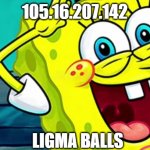 use incase of emergency | 105.16.207.142; LIGMA BALLS | image tagged in spongebob ip address,funny meme | made w/ Imgflip meme maker