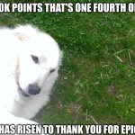 this actually is my dog, and the template is called one happy doggo if you want to use it | THX FOR 250K POINTS THAT'S ONE FOURTH OF A MILLION! MY DOGGO HAS RISEN TO THANK YOU FOR EPIC MILESTONE | image tagged in one happy doggo,thank you | made w/ Imgflip meme maker