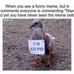 I'm Stupid | When you see a funny meme, but in the comments everyone is commenting "Repost". And yet you have never seen the meme before. | image tagged in i'm stupid | made w/ Imgflip meme maker