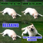 Relaxing | PRODUCTIVE ACTION; AHHH SO RELAXING; RELAXING; YES! I'M PRODUCTIVELY
RELAXING! | image tagged in relaxing dog,productivity,do nothing,just chill,it's my day to relax,sundayfunday | made w/ Imgflip meme maker