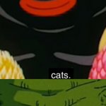 cat torture? no