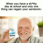 so true | When you have a sh*tty day at school and only one thing can regain your serotonin: | image tagged in memes,hide the pain harold | made w/ Imgflip meme maker