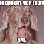 FURBY | YOU BOUGHT ME A FUBRY? OMG | image tagged in omg dog | made w/ Imgflip meme maker