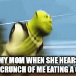 Shrek meme video very crunch please give like 