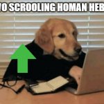 heb ubvote owo | OH HEWWO SCROOLING HOMAN HEB UPBVOTE | image tagged in dogooo hacker | made w/ Imgflip meme maker