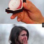proposing with onion meme template