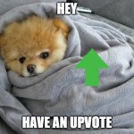 i cant think of anymore titles | HEY; HAVE AN UPVOTE | image tagged in bundled up doggo | made w/ Imgflip meme maker