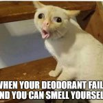 cat smells fart | WHEN YOUR DEODORANT FAILS AND YOU CAN SMELL YOURSELF. | image tagged in cat smells fart | made w/ Imgflip meme maker