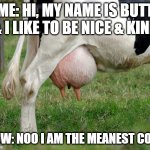 UDDER | ME: HI, MY NAME IS BUTT & I LIKE TO BE NICE & KIND; COW: NOO I AM THE MEANEST COW | image tagged in udder | made w/ Imgflip meme maker