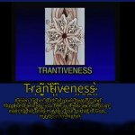 Trantiveness