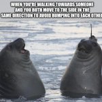:| | WHEN YOU'RE WALKING TOWARDS SOMEONE AND YOU BOTH MOVE TO THE SIDE IN THE SAME DIRECTION TO AVOID BUMPING INTO EACH OTHER | image tagged in two awkward seals | made w/ Imgflip meme maker