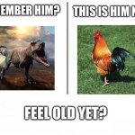 Idk if this meme has been made before so if it has don't be mean to me if it has | THIS IS HIM NOW; REMEMBER HIM? FEEL OLD YET? | image tagged in feel old yet,dinosaur,chicken | made w/ Imgflip meme maker