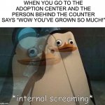 That kinda hurted me tho D: | WHEN YOU GO TO THE ADOPTION CENTER AND THE PERSON BEHIND THE COUNTER SAYS “WOW YOU’VE GROWN SO MUCH!” | image tagged in private internal screaming,memes,funny,relatable memes,relatable,lmao | made w/ Imgflip meme maker