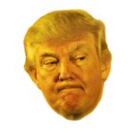 Orange Trump head