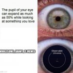 wholesome_danny_'s memes are great, wish there were more memers like him tho | WHOLESOME_DANNY_'S MEMES | image tagged in expanding eye,so i got that goin for me which is nice | made w/ Imgflip meme maker