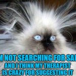 The Search is Over Folks I Found My Cat | I AM NOT SEARCHING FOR SANITY; AND I THINK MY THERAPIST IS CRAZY FOR SUGGESTING IT | image tagged in crazy hair cat,memes,funny,funny memes | made w/ Imgflip meme maker