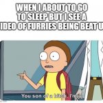 this can and has happened | WHEN I ABOUT TO GO TO SLEEP BUT I SEE A VIDEO OF FURRIES BEING BEAT UP | image tagged in you son of a bitch i'm in | made w/ Imgflip meme maker