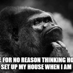 lol | ME FOR NO REASON THINKING HOW I WILL SET UP MY HOUSE WHEN I AM OLDER | image tagged in thinking monkey | made w/ Imgflip meme maker