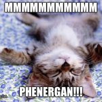 UpsideDwon Sleeping Cat | MMMMMMMMMMM; PHENERGAN!!! | image tagged in upsidedwon sleeping cat,phenergan | made w/ Imgflip meme maker