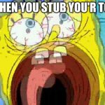 sponge | WHEN YOU STUB YOU'R TOE | image tagged in spongebob screaming | made w/ Imgflip meme maker