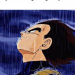 "with honor until the end" | Nobody:
My Minecraft dog waiting for my return: | image tagged in vegeta in the rain | made w/ Imgflip meme maker