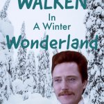 Walk in n a wonderland | image tagged in walk in in a wonderland | made w/ Imgflip meme maker