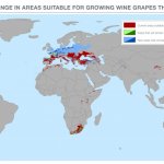 Climate change wine