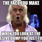 You know you have done this at some point | THE FACE YOU MAKE; WHEN YOU LOOK AT THE MASSIVE DUMP YOU JUST TOOK. | image tagged in ric flair friday,memes,toilet humor,dump,crap,bad joke | made w/ Imgflip meme maker