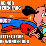 Underdog | NOT BIRD NOR PLANE NOR EVEN FROG; FROG ? JUST LITTLE OLE ME SAMMY THE WUNDER DOG | image tagged in underdog,sammy wunderdog | made w/ Imgflip meme maker