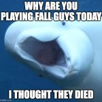 suprised beluga whale | WHY ARE YOU PLAYING FALL GUYS TODAY; I THOUGHT THEY DIED | image tagged in suprised beluga whale | made w/ Imgflip meme maker