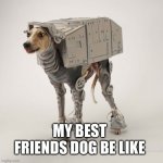 Star Wars Greyhound | MY BEST FRIENDS DOG BE LIKE | image tagged in star wars greyhound | made w/ Imgflip meme maker