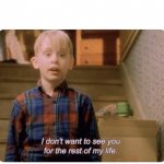 Home alone I don’t want to see you for the rest of my life meme
