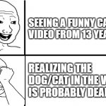 Happy wojak crying wojak | SEEING A FUNNY CAT/DOG VIDEO FROM 13 YEAR AGO; REALIZING THE DOG/CAT IN THE VIDEO IS PROBABLY DEAD NOW | image tagged in happy wojak crying wojak,memes,pets,fun,funny,wojak | made w/ Imgflip meme maker