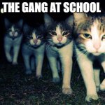 the boys | THE GANG AT SCHOOL | image tagged in memes,wrong neighboorhood cats | made w/ Imgflip meme maker