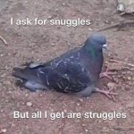 i ask for snuggles, i get struggles