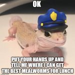 lets coopoperate here | OK; PUT YOUR HANDS UP AND TELL ME WHERE I CAN GET THE BEST MEALWORMS FOR LUNCH | image tagged in officer geck | made w/ Imgflip meme maker