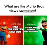 hehe | SCHOOL BREAKS FINISH YOUR WORK THEN HAVE A BREAK SCREW THE WORK HAVE A BREAK WHENEVER YOU WANT | image tagged in mario says luigi says | made w/ Imgflip meme maker
