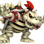 dry bowser says: