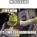Shrek opens the door | ME RELAXING; MY MOM; ITS TIME FOR HOMEWORK | image tagged in shrek opens the door | made w/ Imgflip meme maker