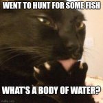 Philosopher Cat | WENT TO HUNT FOR SOME FISH; WHAT'S A BODY OF WATER? | image tagged in philosopher cat | made w/ Imgflip meme maker