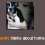 Skunky thinks about home template